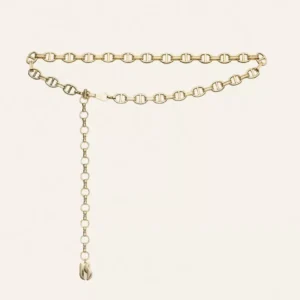 belt ceinture brass gold ba&sh